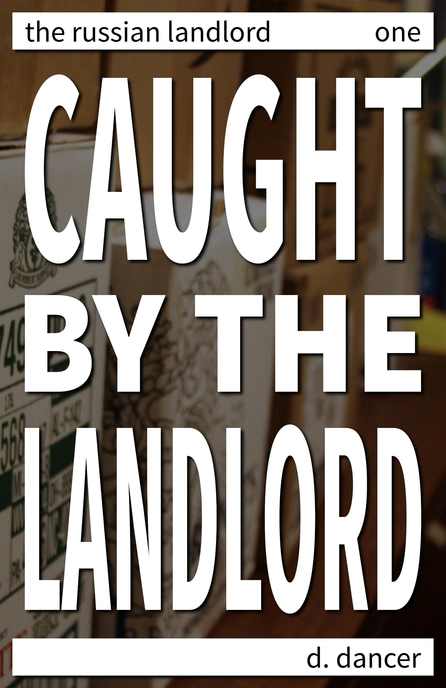 Caught by the Landlord cover